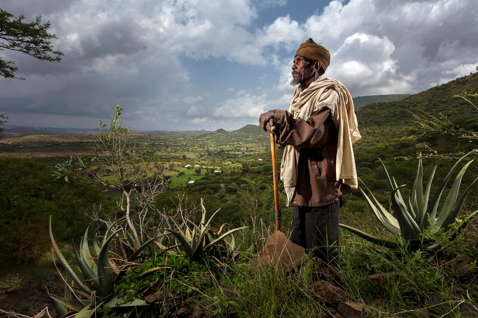 Brent Stirton - Quand la forêt renaît