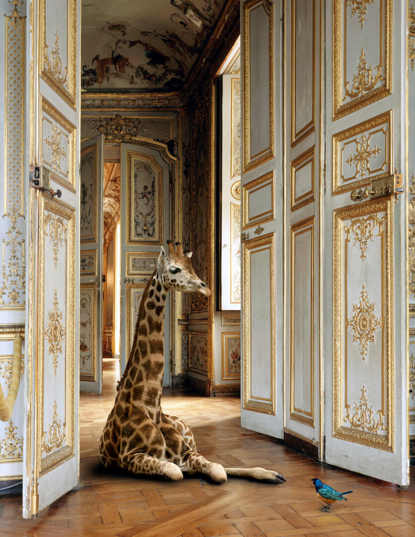 Karen Knorr - Nouvelles fables