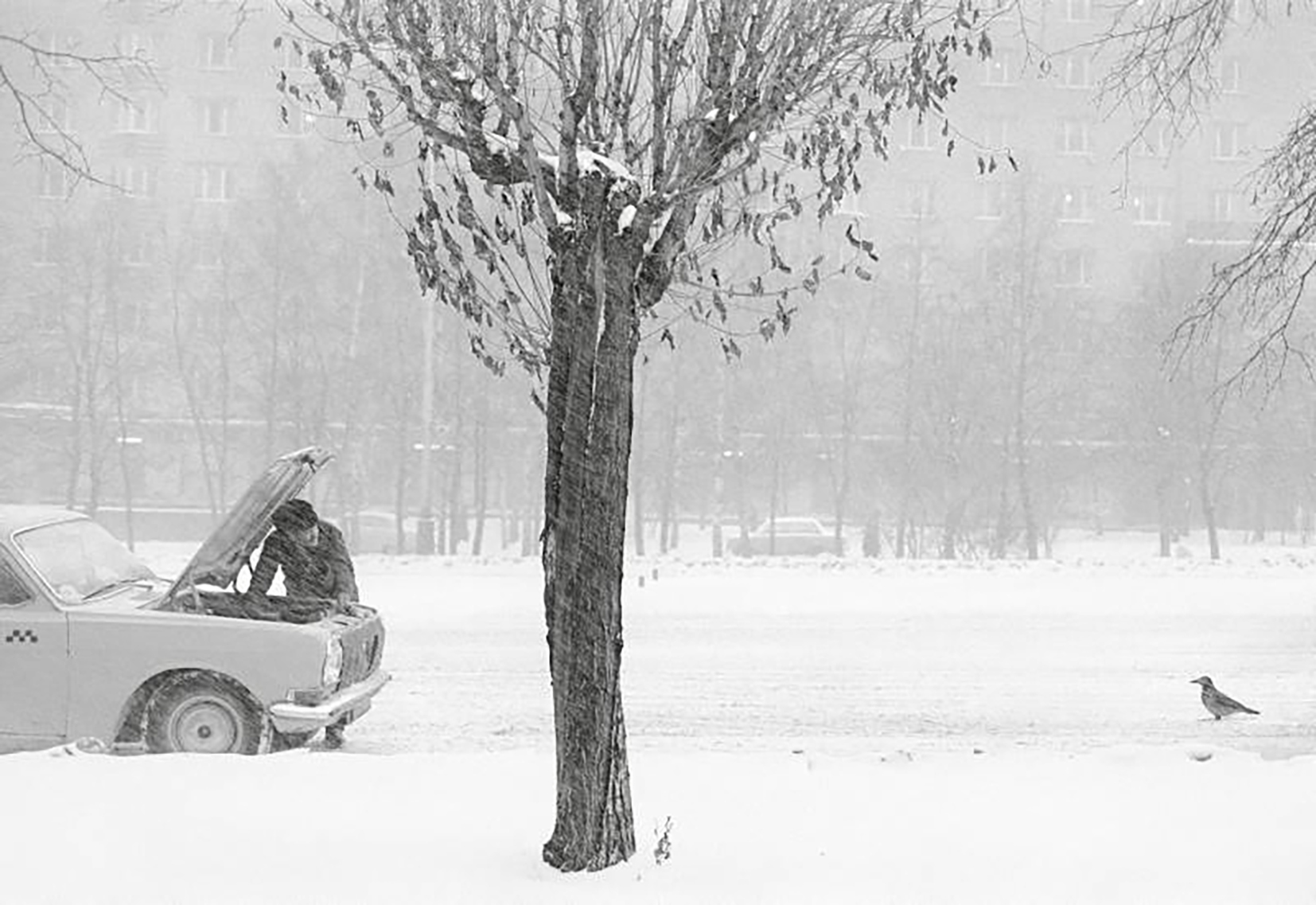 Pentti_Sammallahti__FestivalPhotoLaGacilly2021