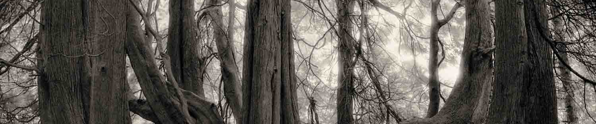 Beth_MOON_FestivalPhotoLaGacilly2023 Beth_MOON_FestivalPhotoLaGacilly2023