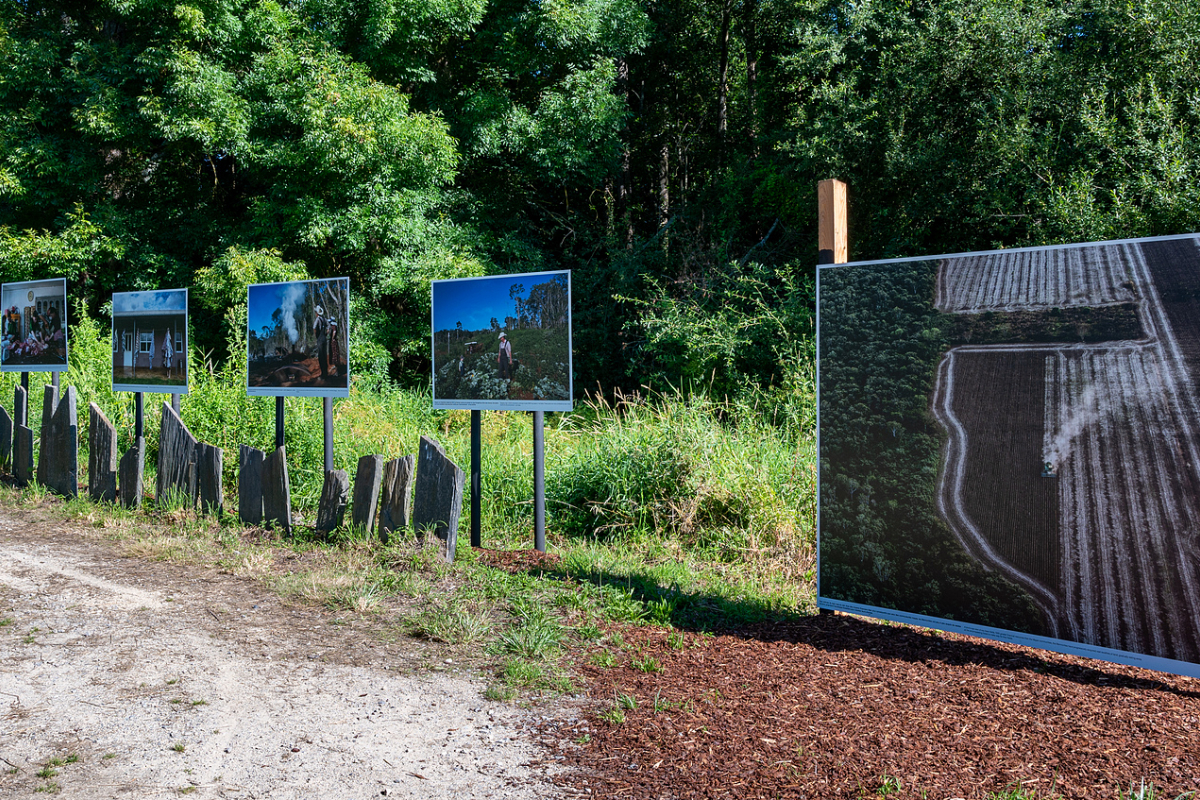 © Jean-Michel Niron / Galerie Chemin des libellules La Gacilly 2020