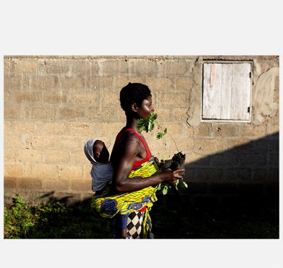 Axelle de Russé - Togo les jardiniers de la  forêt