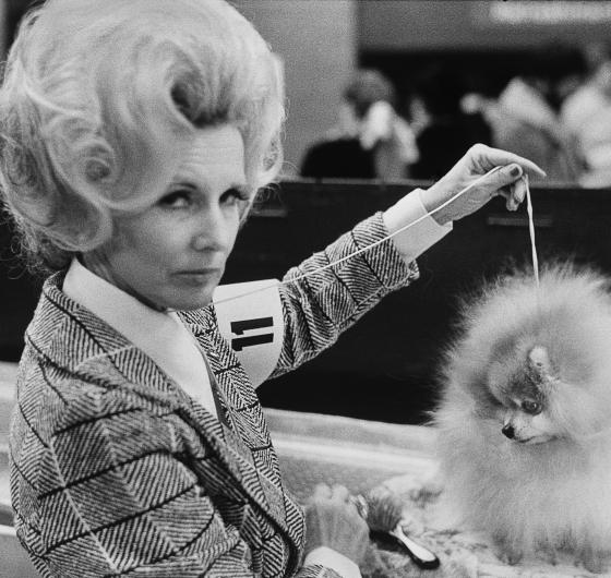 Eliott-Erwitt.jpg Eliott-Erwitt.jpg