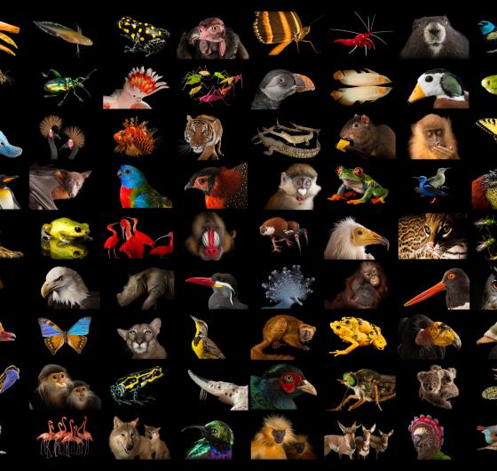 Joel-Sartore.jpg Joel-Sartore.jpg