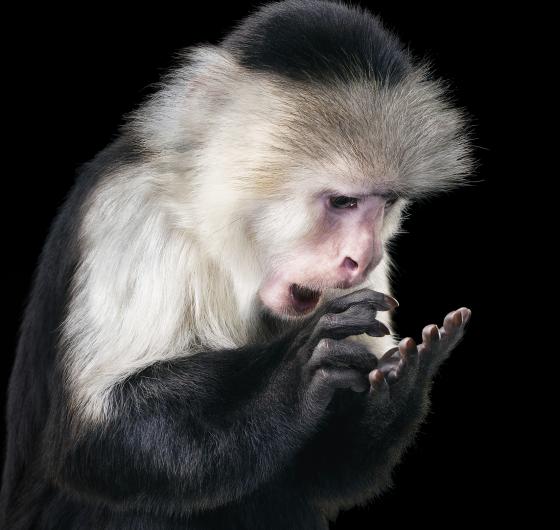 Tim-Flach-copie.jpg