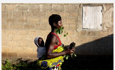 Axelle de Russé - Togo les jardiniers de la  forêt