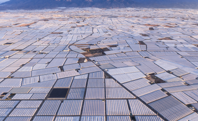 © George Steinmetz • Exposition Nourrir la planète