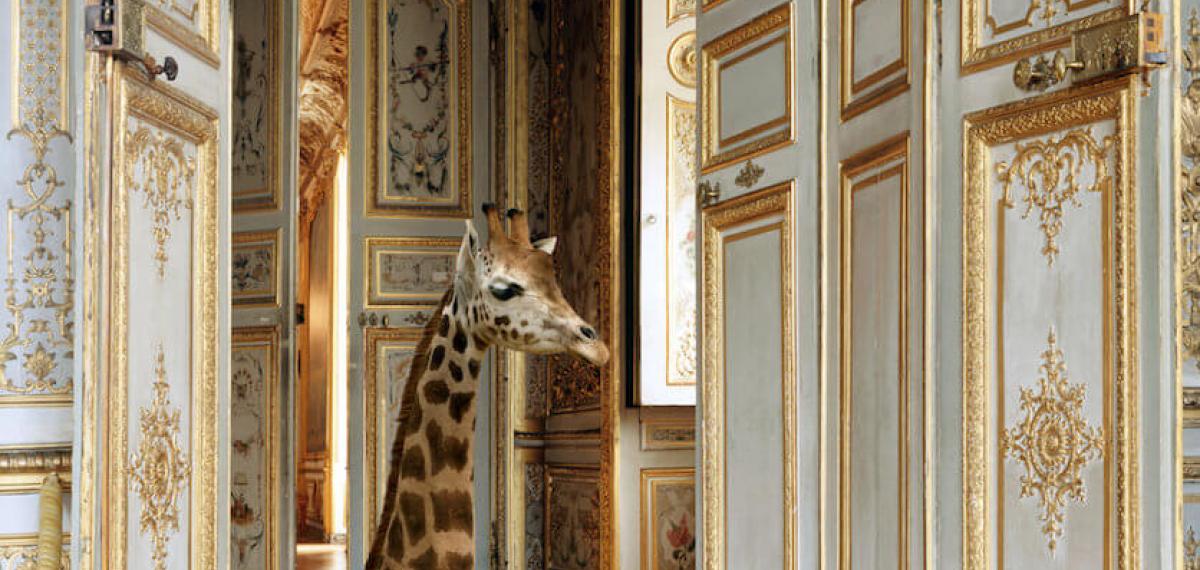 Karen Knorr - Nouvelles fables Karen Knorr - Nouvelles fables